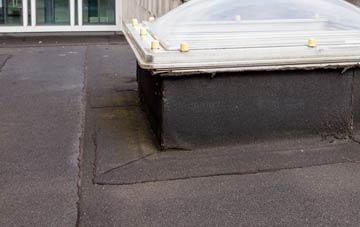 disadvantages of School Green flat roofs