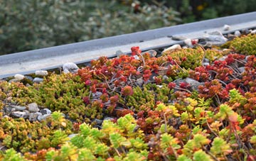 the cost of School Green green roof installation