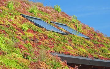 School Green living roof systems